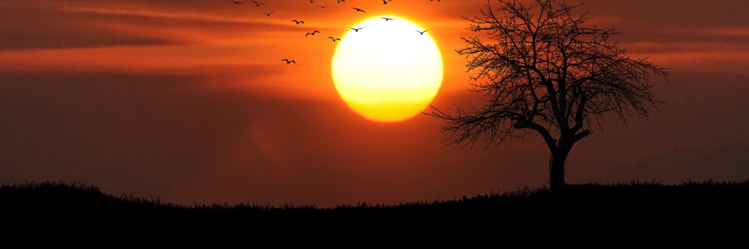 telegramticket.com banner