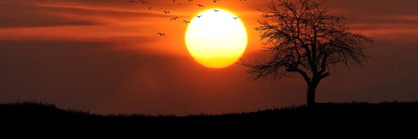 HTMLFormElement Profile Banner