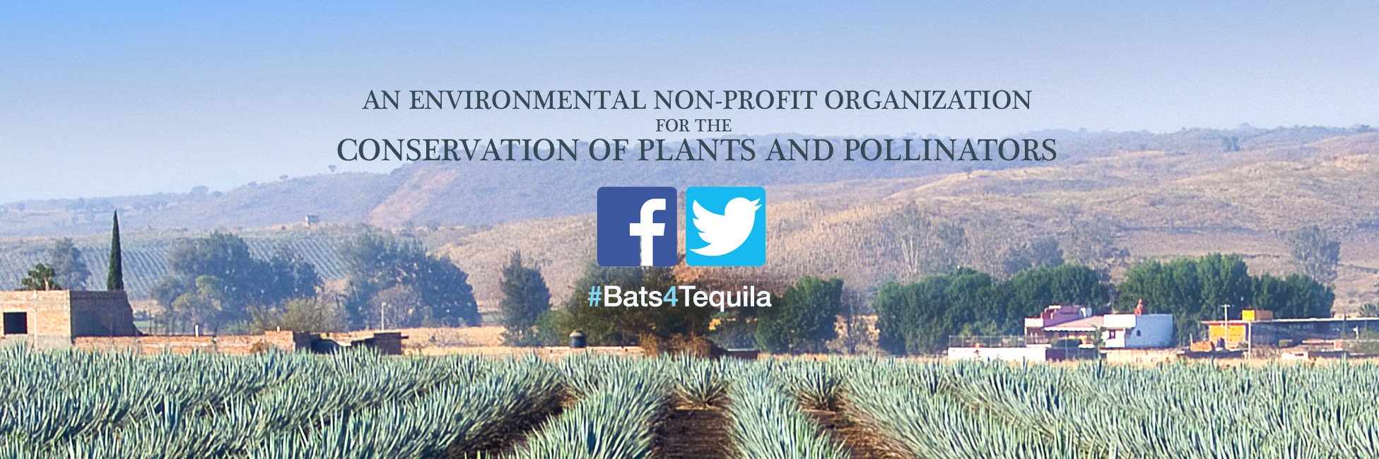 Bats4Tequila's profile banner image