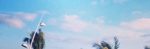 DW banner