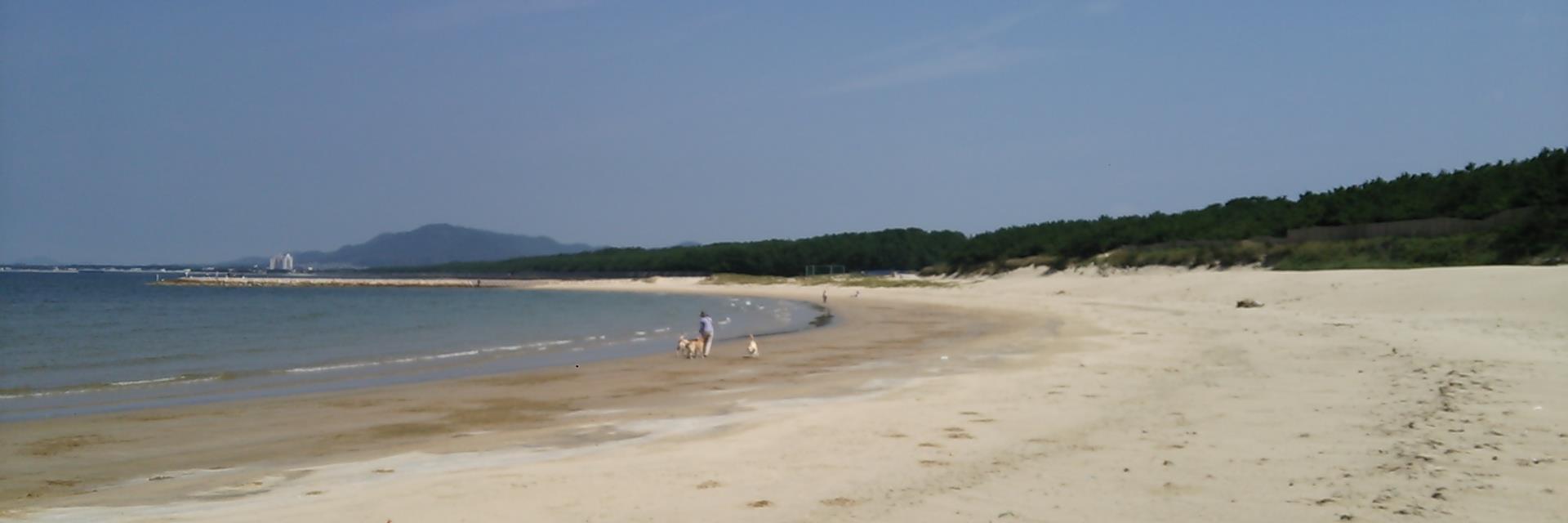 Bコミ（坂本 慎太郎） banner