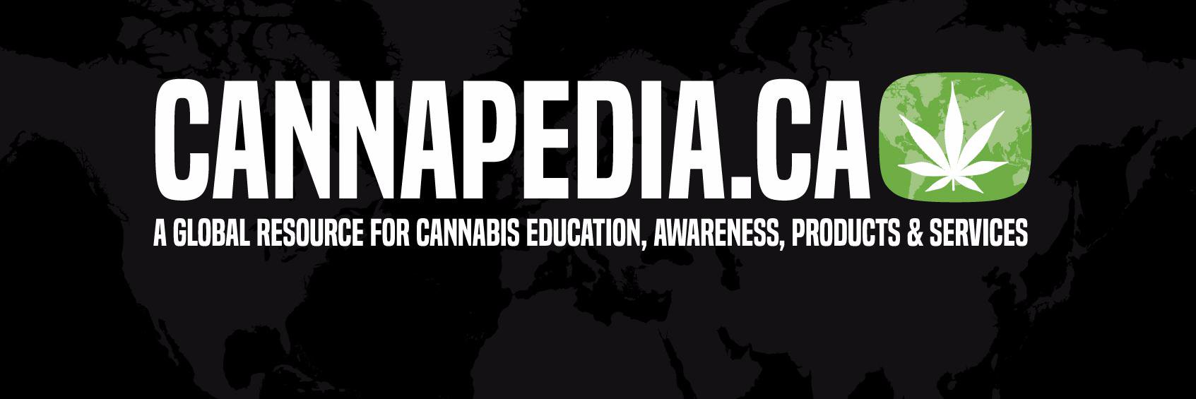 Cannapediaweb's profile banner image