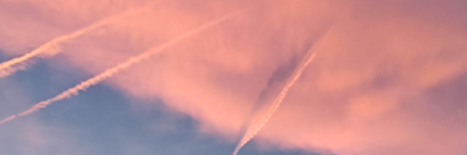 Laudfd_'s profile banner image