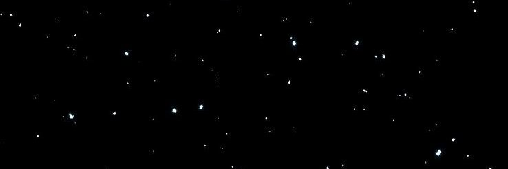 birdost462's profile banner image