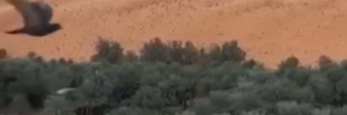 abosaud003's profile banner image