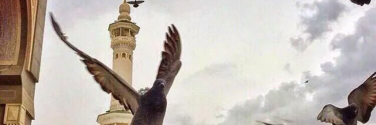 إبنه ل رجل لن يتكرر banner