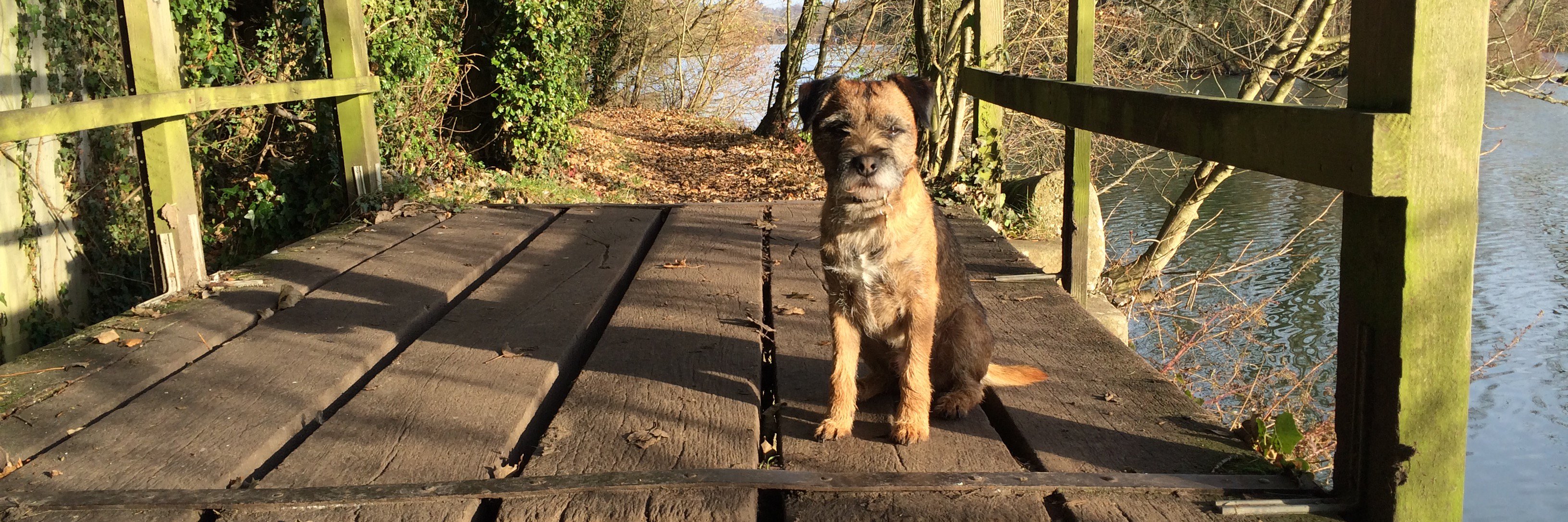 Toffee Parton OBE banner