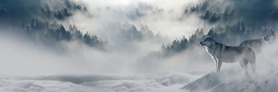 Rami Tarabay banner