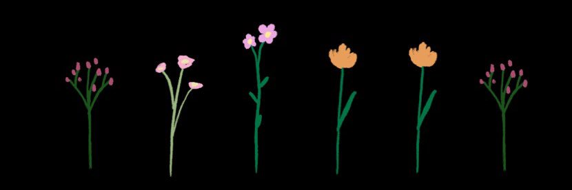 Alyssaflys_13's profile banner image