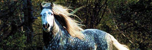 SamGrantRiach Profile Banner