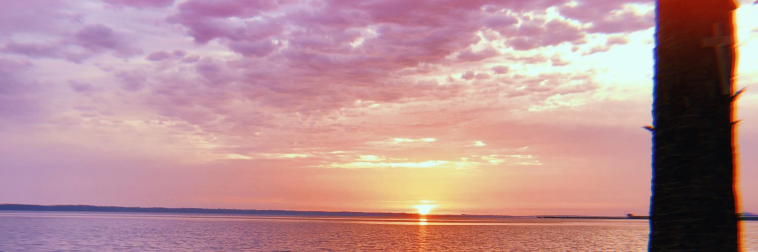 CheylanAmber's profile banner image