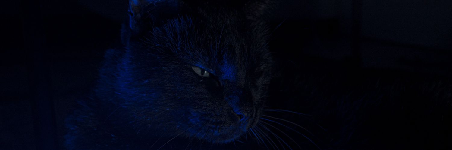 mescngz's profile banner image