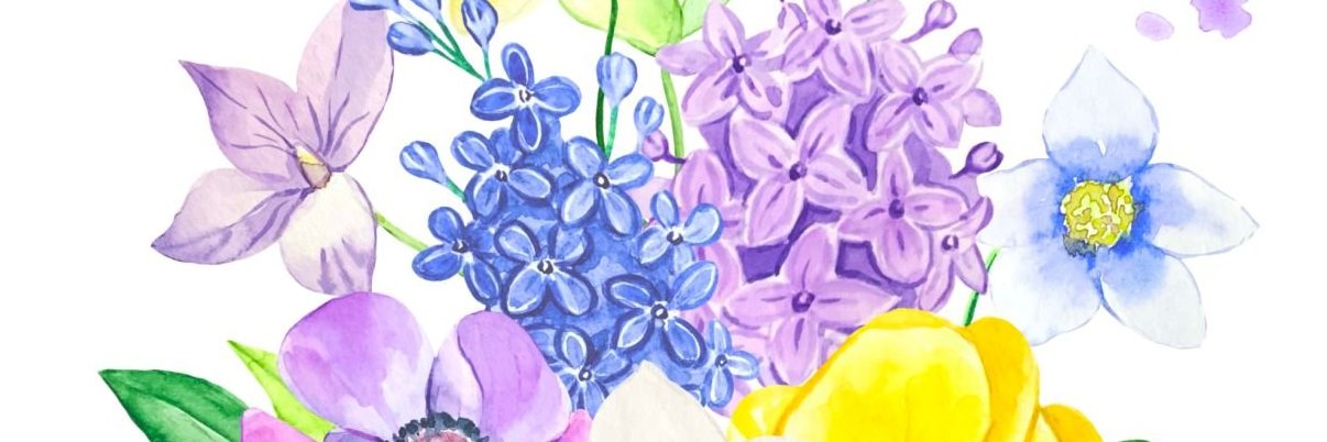ulkv's profile banner image