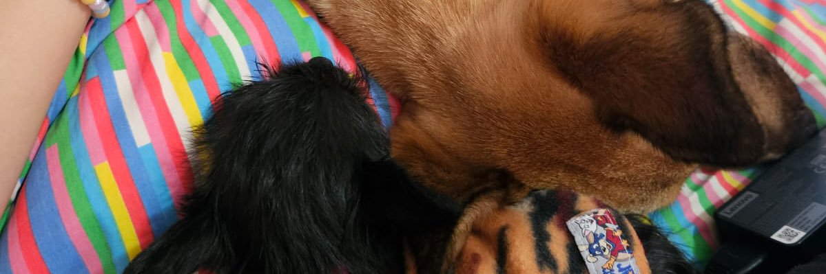 Thepaˢᶜᶜᵖ banner