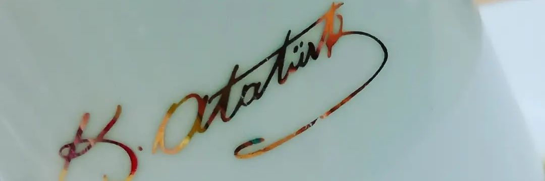 ozalSemih's profile banner image