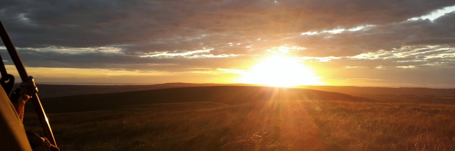 orangevanlady's profile banner image