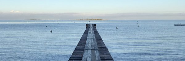 AnavajS Profile Banner