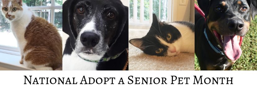 HenricoHumane's profile banner image