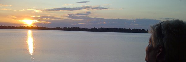 nan_kov Profile Banner