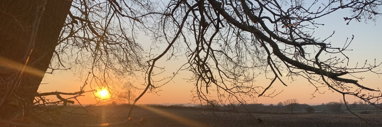 SJWesson's profile banner image