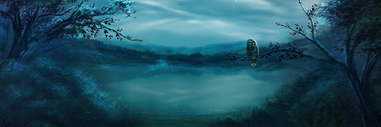 pique_master's profile banner image