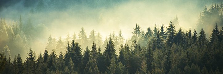 TheFelderReport's profile banner image