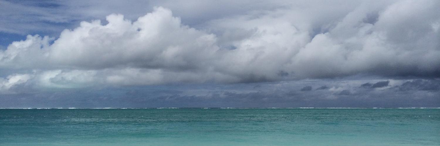 Catherine Cook Connelly banner