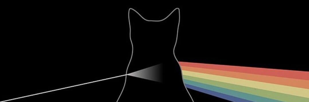 FenaAlmassio's profile banner image