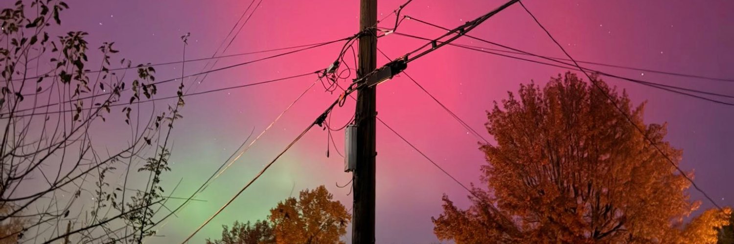 Bethany Cutkomp banner