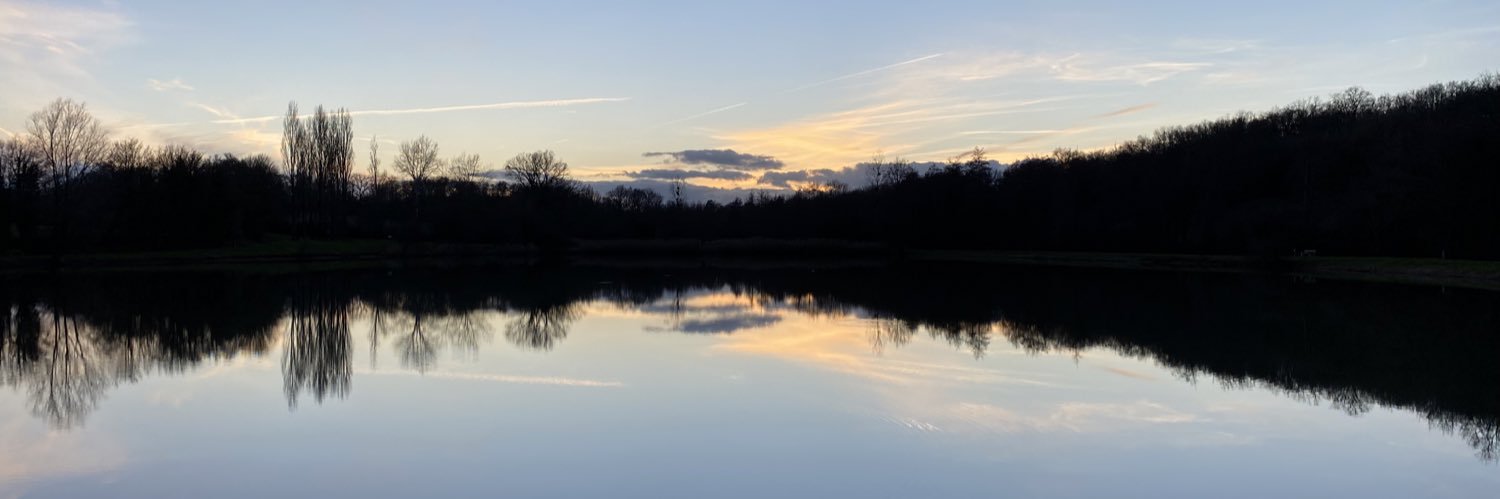 Dr David Miles banner