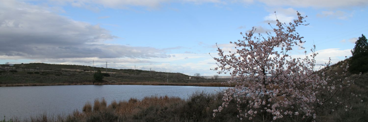 JudithAgenjo's profile banner image