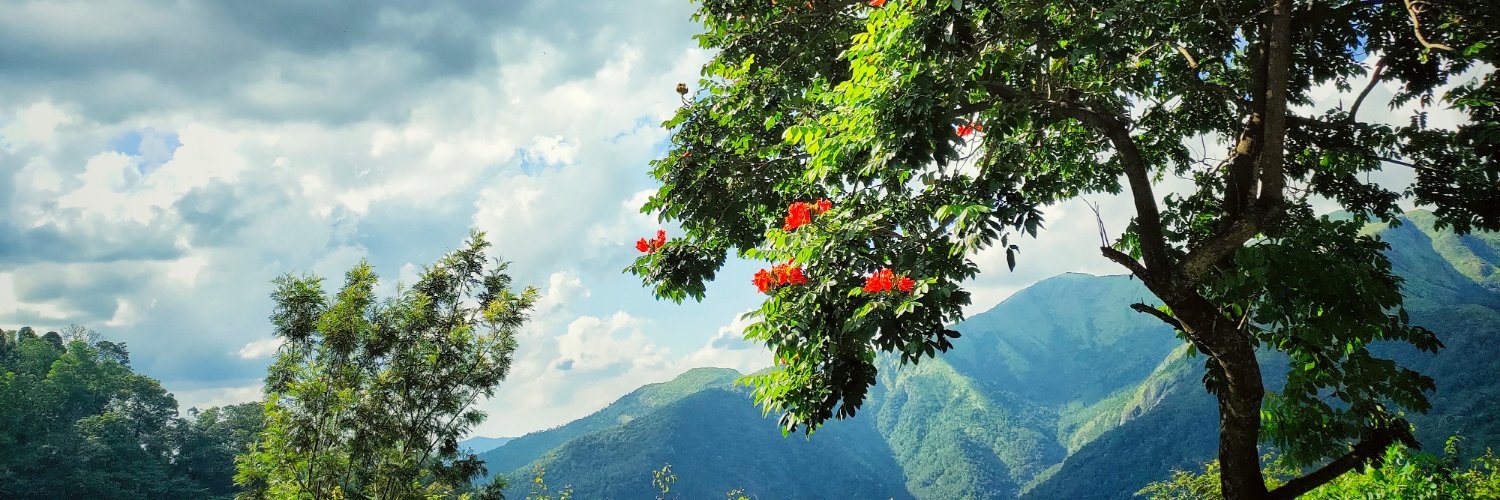 nazrinashraf's profile banner image