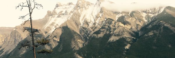 LyngJoseph Profile Banner