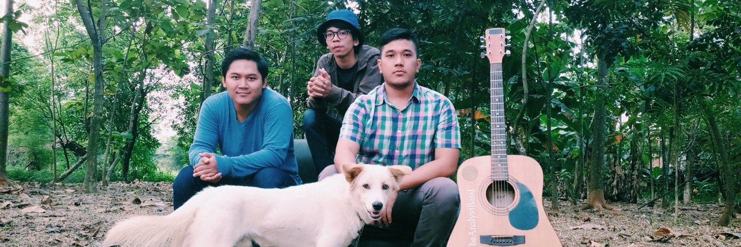 The Analyst Band banner