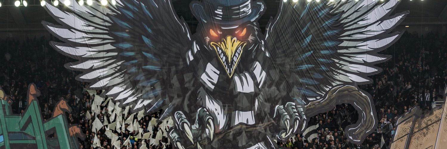 Matthew Wilson banner