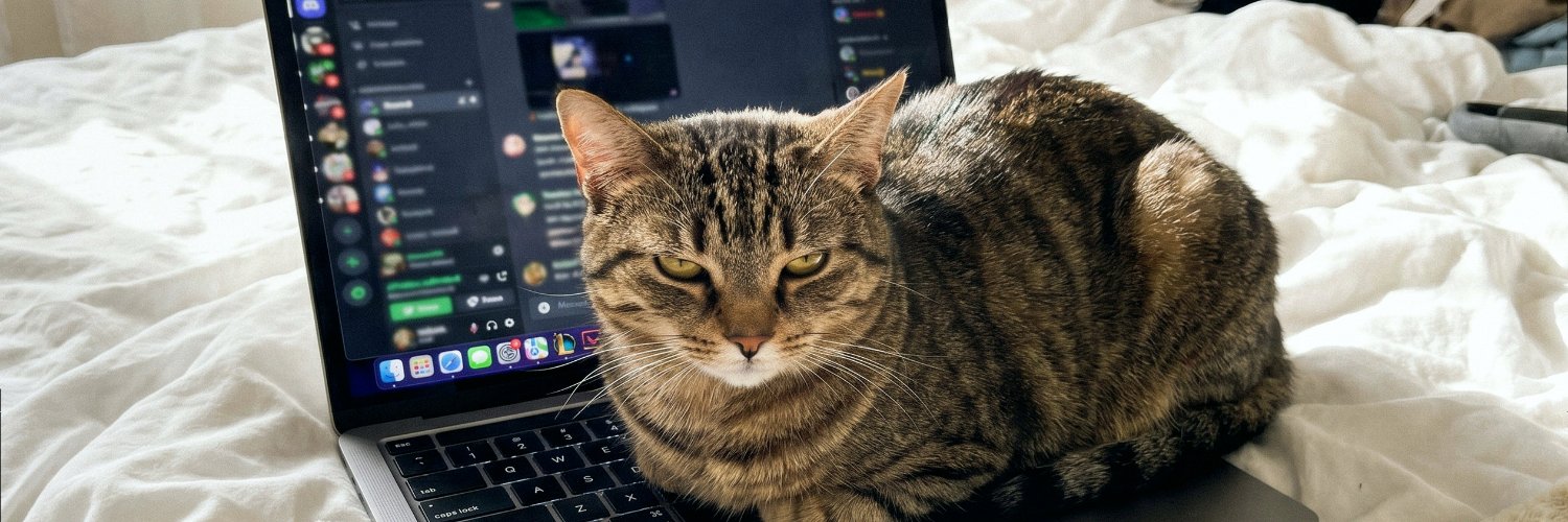 MsNakeschi's profile banner image