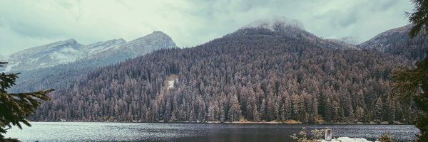 kendemusic Profile Banner