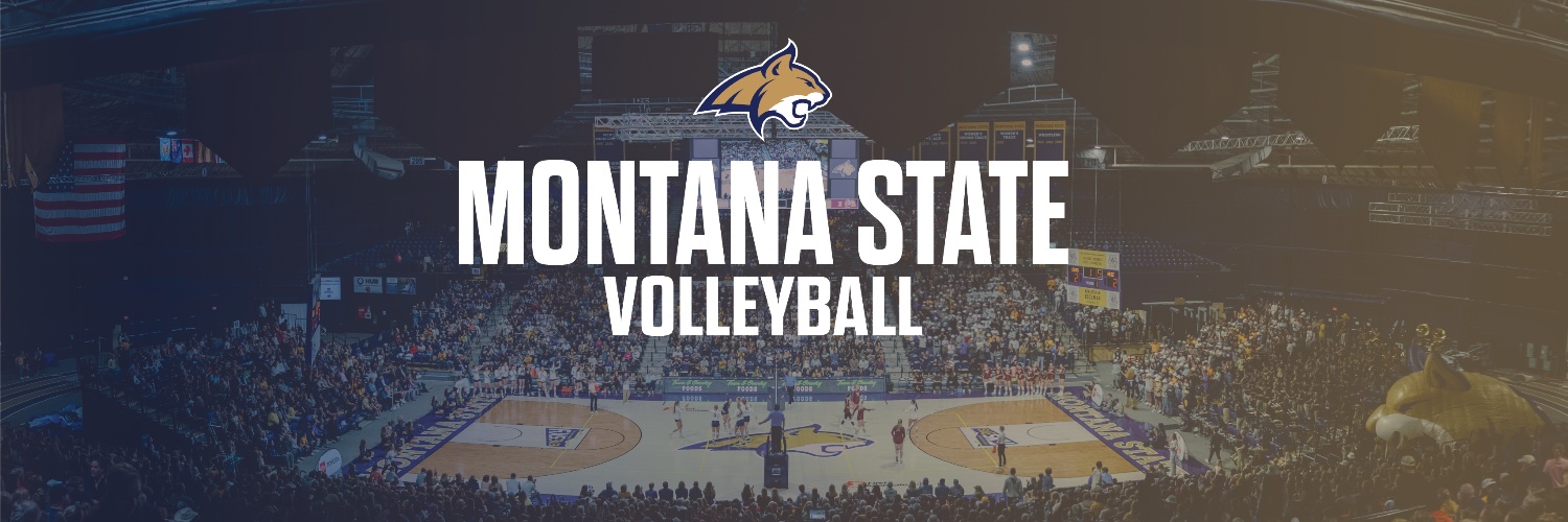Montana State VB banner