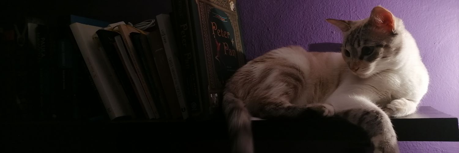 Ro banner