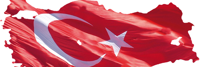 mskabran's profile banner image