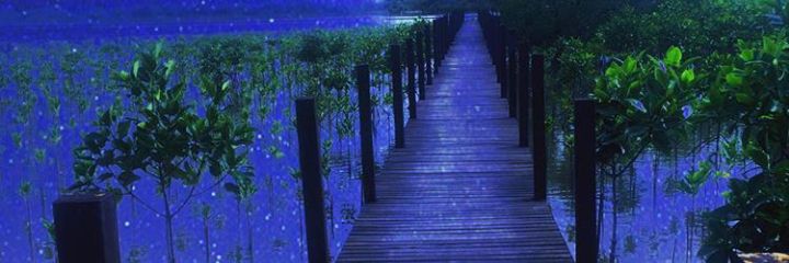 davit_toch's profile banner image