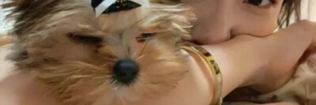 Juliehsc's profile banner image