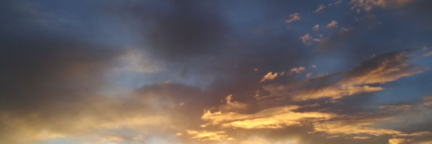 Annymask's profile banner image