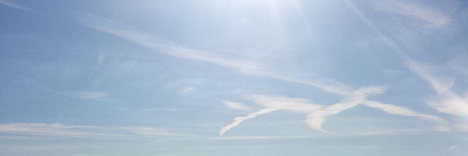 Charlotte Rowe banner