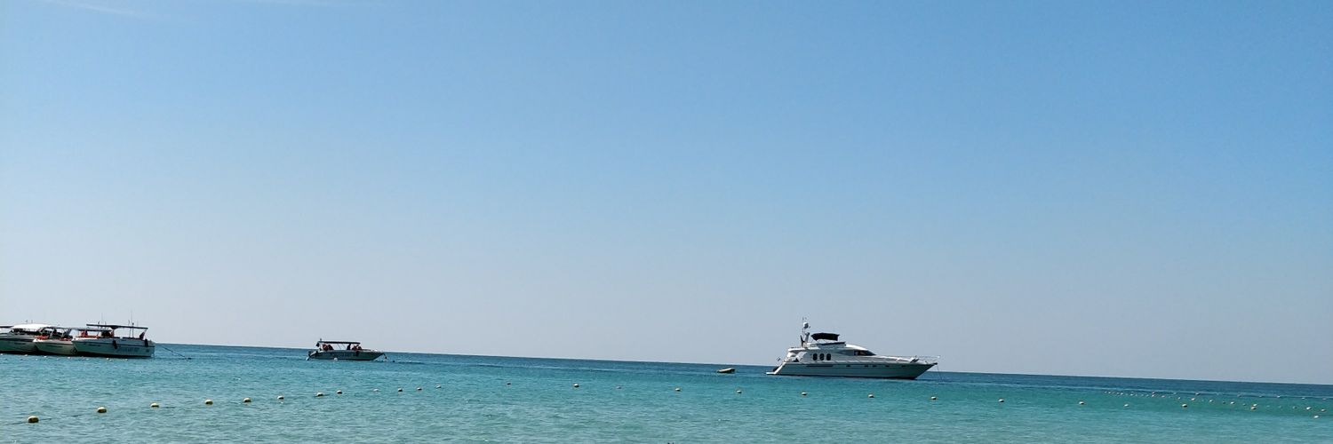 Angiedass's profile banner image