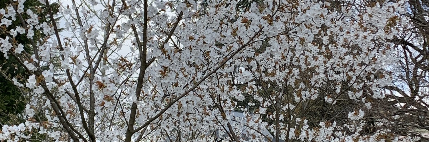 bettsgj's profile banner image