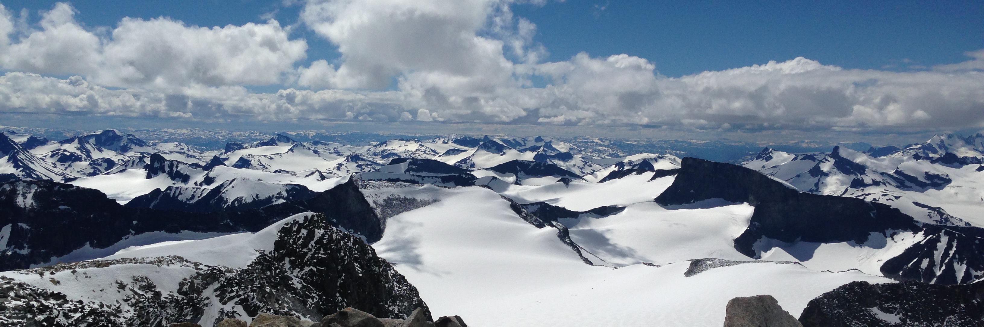 Dr. Trude Mostue banner