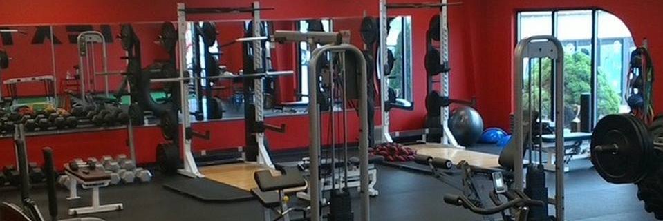 Next Level Sports banner