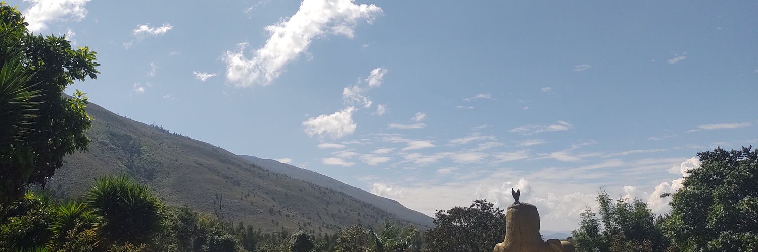 C_Xavier2's profile banner image