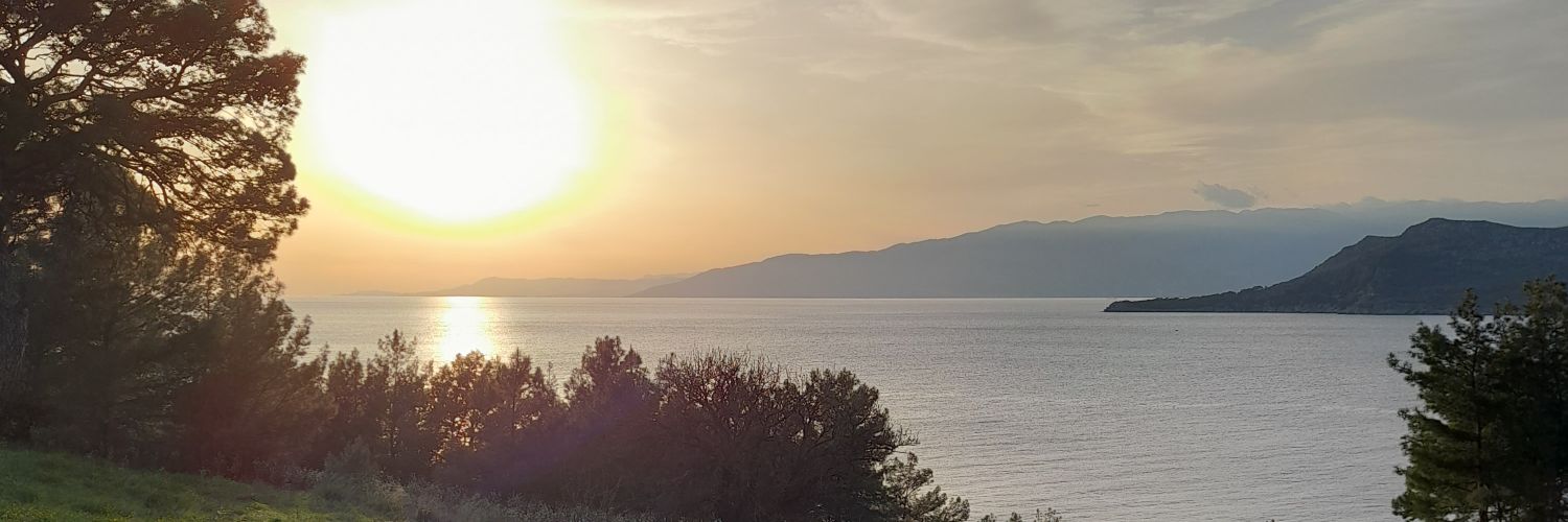 bayramilkhan's profile banner image
